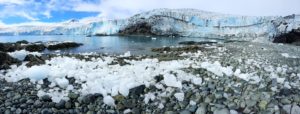 El glaciar Hurd se va desprendiendo en fragmentos que caen al mar y forman acumulaciones de brash en la playa.