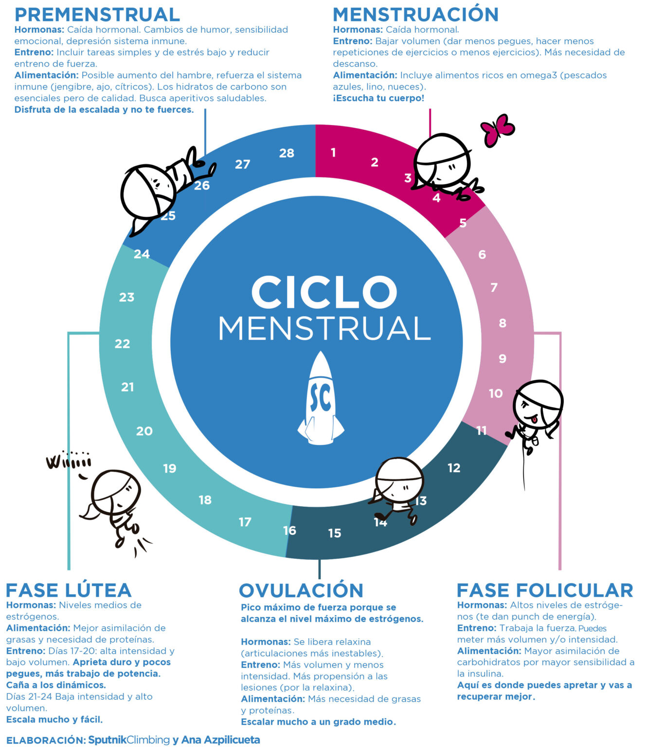 Entrenamiento Y Ciclo Menstrual La Regla Cuenta El Cohete