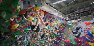 12 Equipo competicion Sputnik Japon