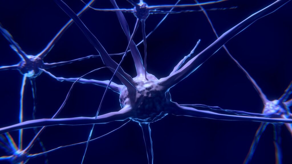 Neurona Sputnik Climbing