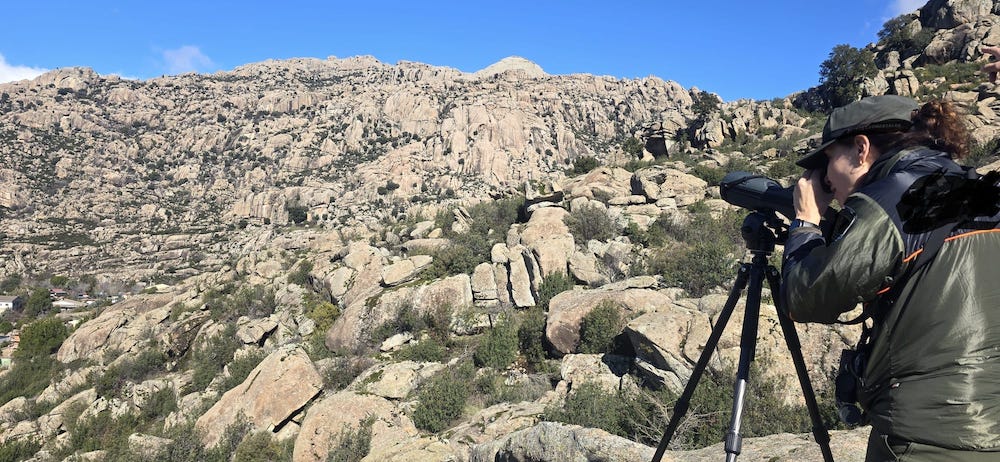 Agentes forestales en La Pedriza. Escalada y conservación Sputnik Climbing